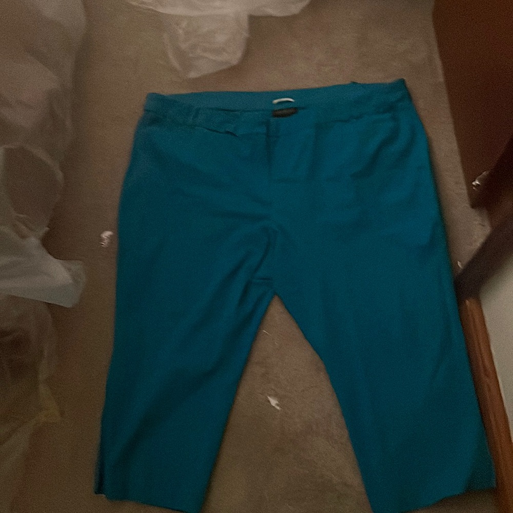 A pair of Capris from lane byrant
